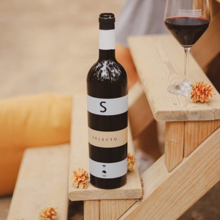 wines&bites3b